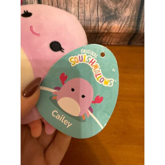 NWT Squishmallows Cailey the Pink Crab Plush Toy Small 5” Washable - Picture 6 of 6